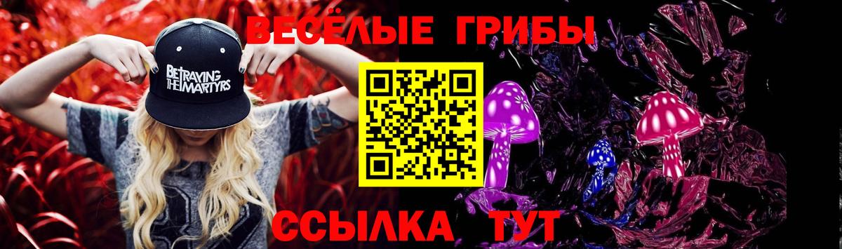 Псилоцибиновые грибы GOLDEN TEACHER  Вход с VPN  Добрянка 